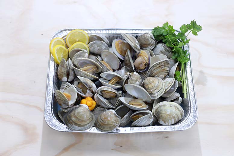 little neck clams 2